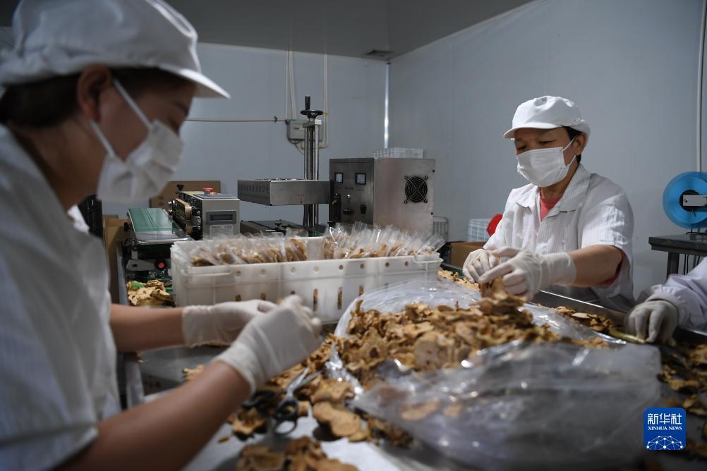 大满贯官方网站